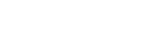 Louis XIII experience logo